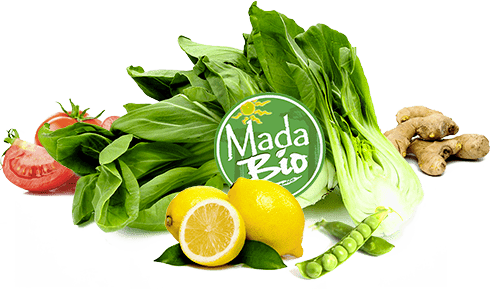 Vegetables and fruits - Codal Madagascar