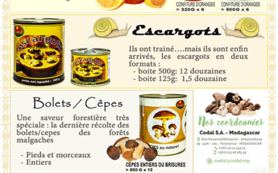 Confiture d’oranges CODAL : « must » !