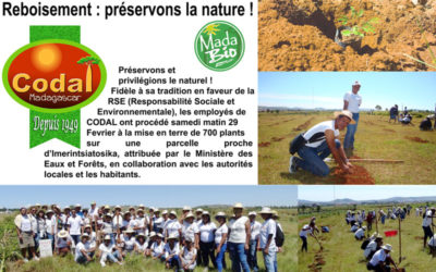 Reboisement: préservons la nature !