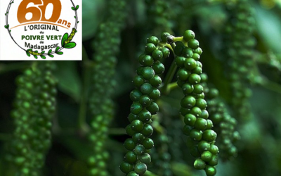 Celebration of the 60th Anniversary of Codal Green Peppercorns